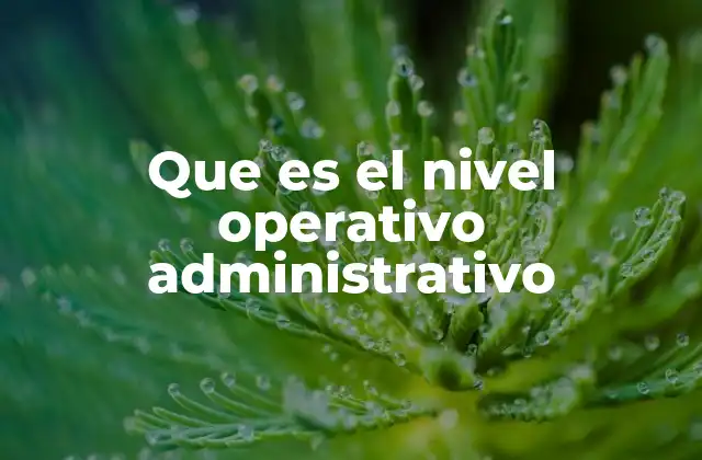 Que es el Nivel Operativo Administrativo