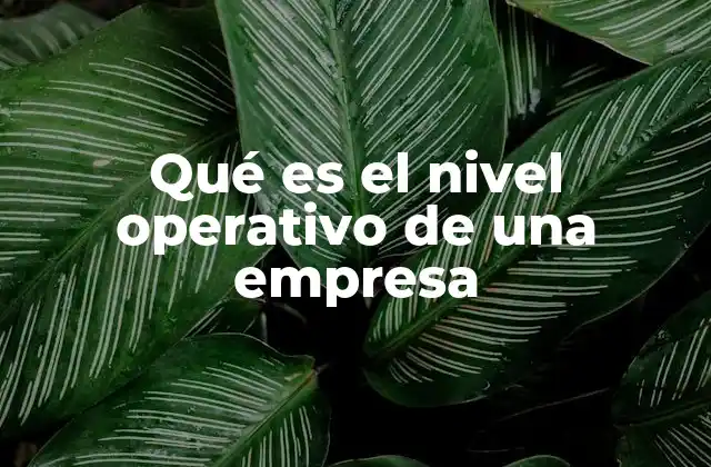 Qué es el Nivel Operativo de una Empresa