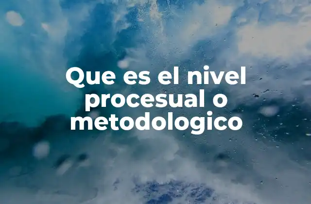 Que es el Nivel Procesual o Metodologico