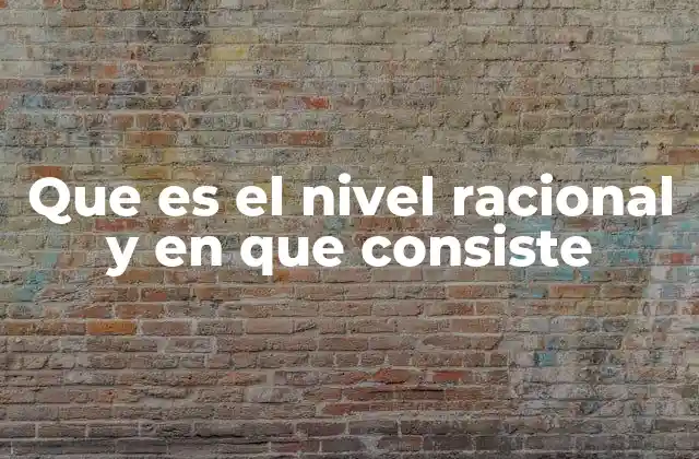 Que es el Nivel Racional y en que Consiste