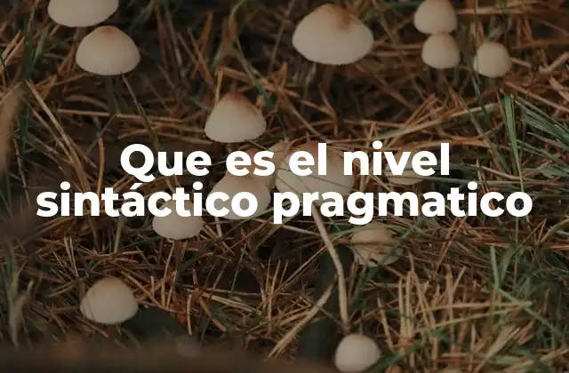 Que es el Nivel Sintáctico Pragmatico