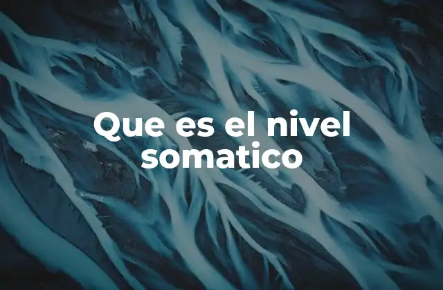 Que es el Nivel Somatico