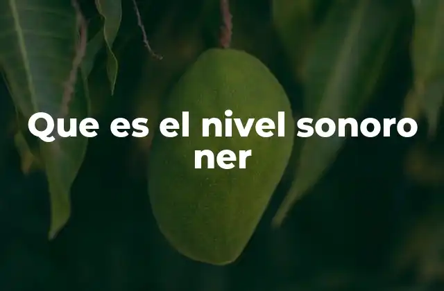 La importancia de medir el ruido en entornos laborales y urbanos