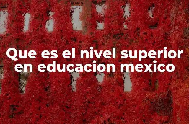 Que es el Nivel Superior en Educacion Mexico