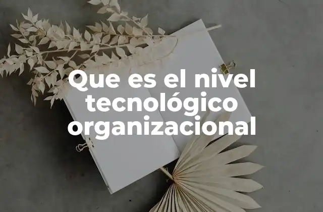 Que es el Nivel Tecnológico Organizacional