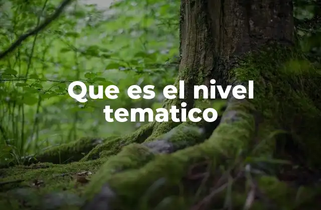 Que es el Nivel Tematico