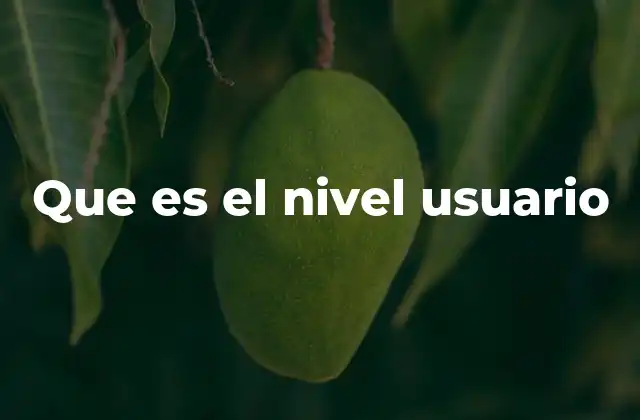 Que es el Nivel Usuario