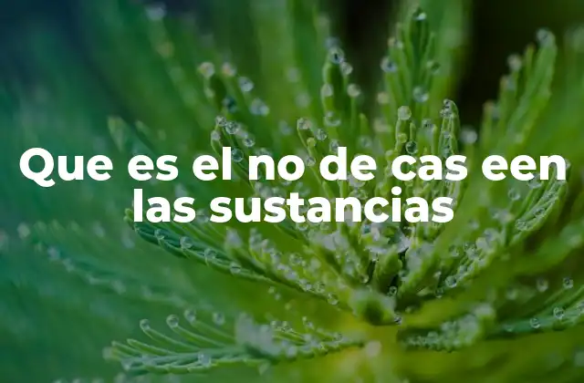 Que es el No de Cas Een las Sustancias