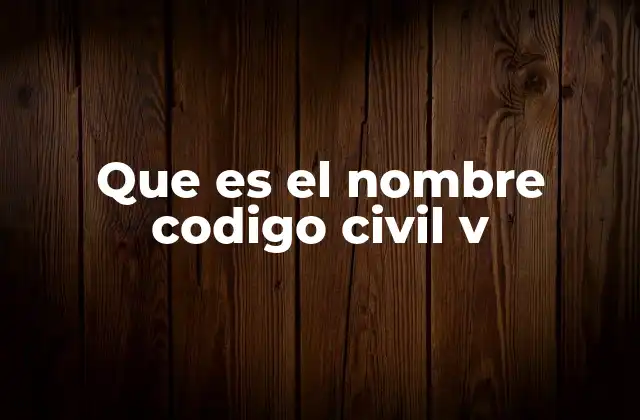 Que es el Nombre Codigo Civil V