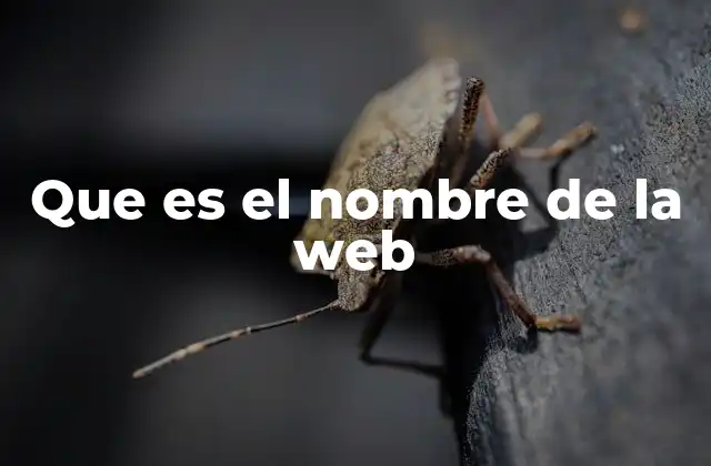 Que es el Nombre de la Web