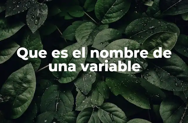 Que es el Nombre de una Variable