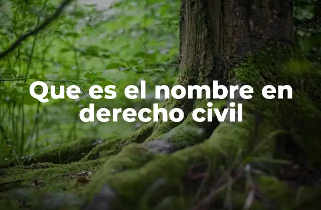 Que es el Nombre en Derecho Civil