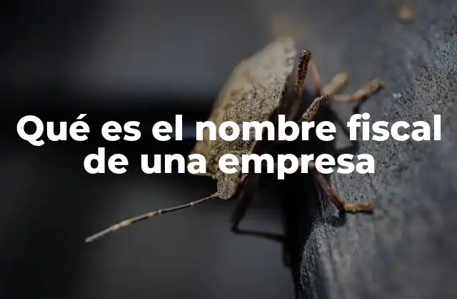 Qué es el Nombre Fiscal de una Empresa