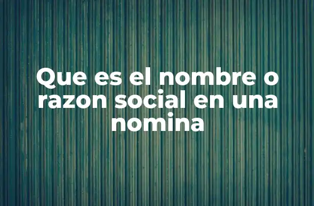 Que es el Nombre o Razon Social en una Nomina