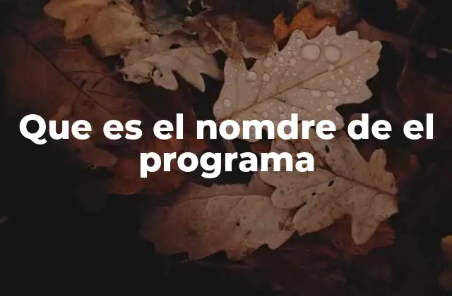 Que es el Nomdre de el Programa