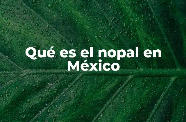 Qué es el Nopal en México