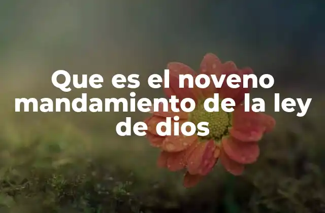 Que es el Noveno Mandamiento de la Ley de Dios
