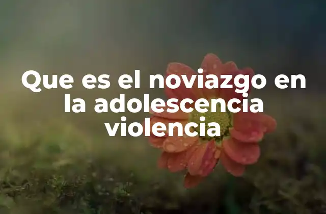 Que es el Noviazgo en la Adolescencia Violencia