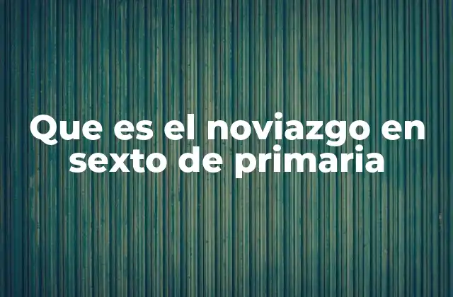 Que es el Noviazgo en Sexto de Primaria