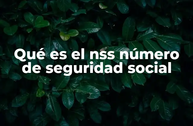 Qué es el Nss Número de Seguridad Social