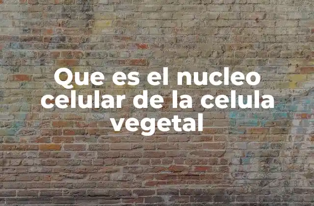 Que es el Nucleo Celular de la Celula Vegetal