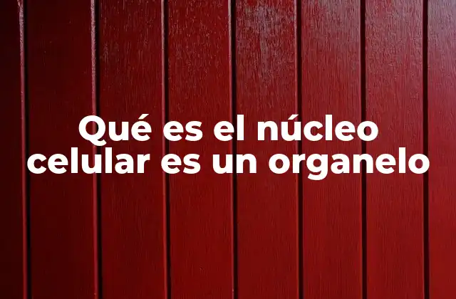 Qué es el Núcleo Celular es un Organelo