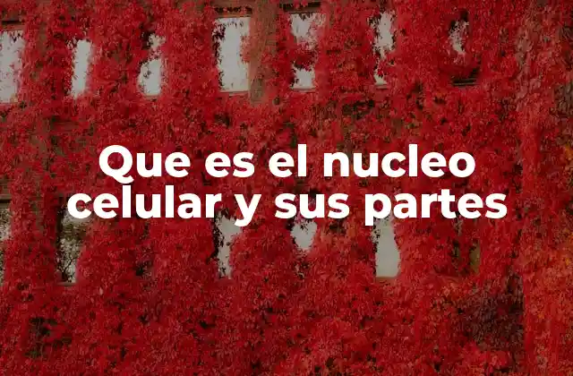 Que es el Nucleo Celular y Sus Partes