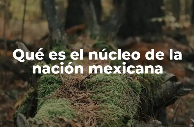 Qué es el Núcleo de la Nación Mexicana