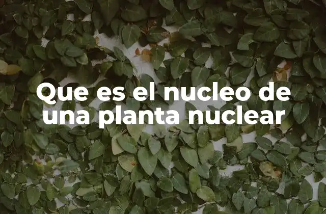 Que es el Nucleo de una Planta Nuclear