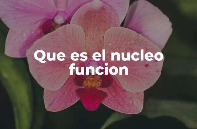 Que es el Nucleo Funcion