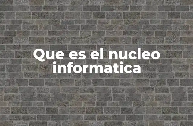 Que es el Nucleo Informatica