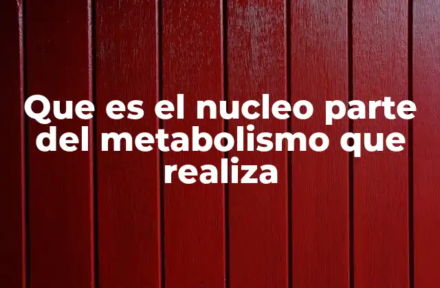 Que es el Nucleo Parte Del Metabolismo que Realiza