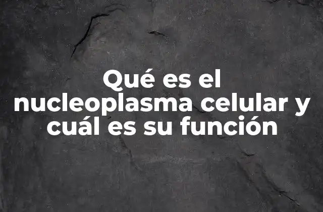 Qué es el Nucleoplasma Celular y Cuál es Su Función