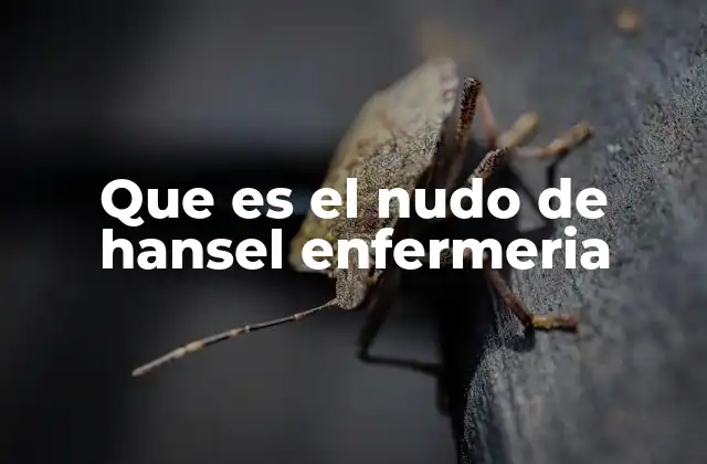 El nudo de Hansel en el cuidado del paciente