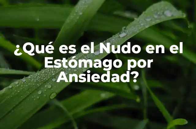 ¿Qué son los Nudos en el Estómago?