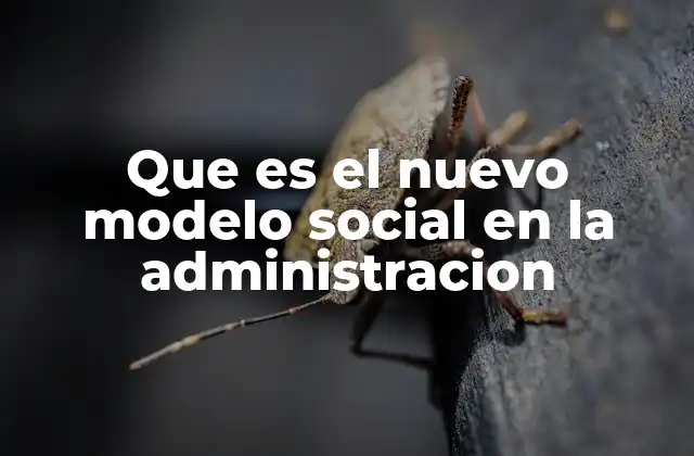 Que es el Nuevo Modelo Social en la Administracion