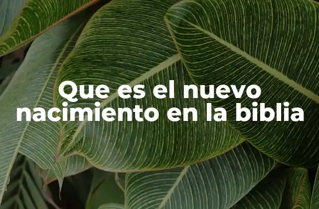 Que es el Nuevo Nacimiento en la Biblia 2 El nuevo nacimiento como transformación espiritual