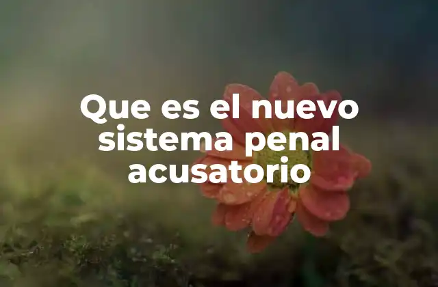 Que es el Nuevo Sistema Penal Acusatorio 2 El cambio en la administración de justicia