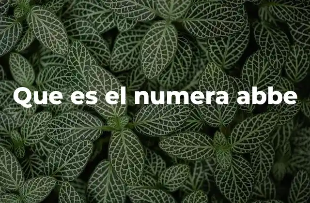 Que es el Numera Abbe