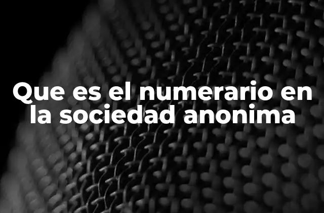 El papel del numerario en la conformación del capital social