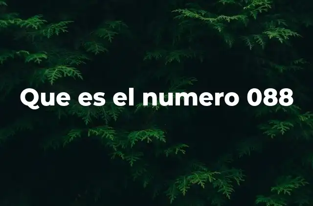 Que es el Numero 088