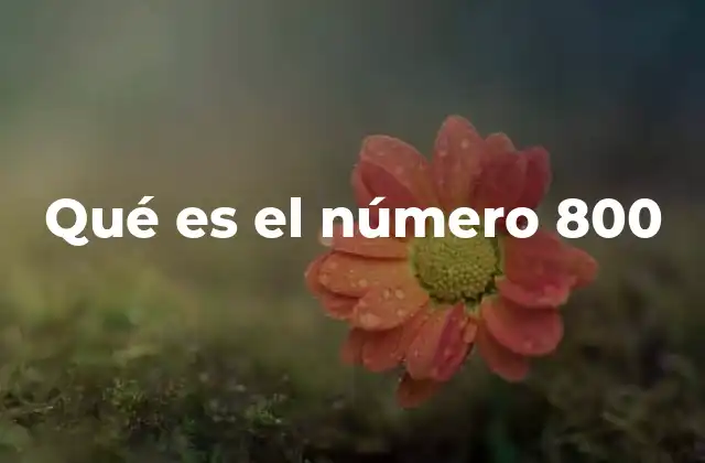 Qué es el Número 800