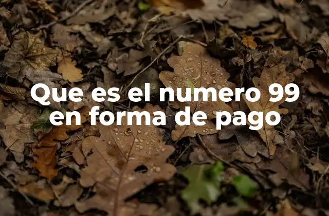 Que es el Numero 99 en Forma de Pago