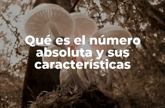 El número absoluto en la recta numérica