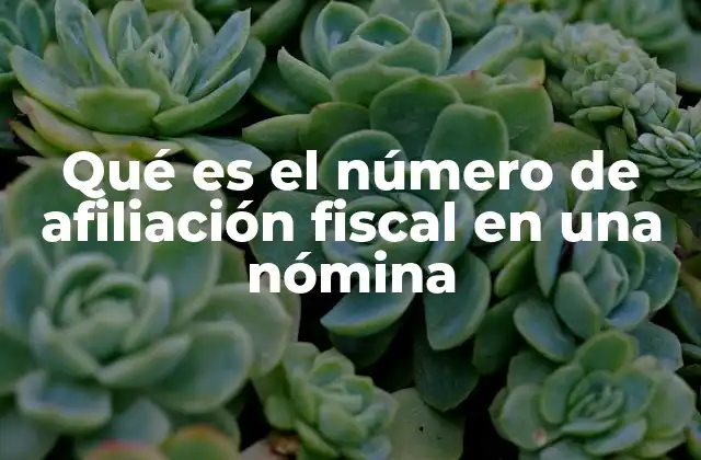 Qué es el Número de Afiliación Fiscal en una Nómina
