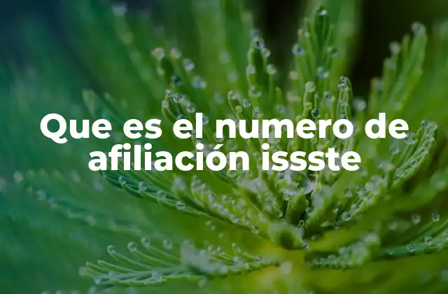 Que es el Numero de Afiliación Issste