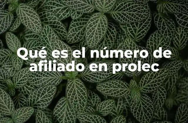 Qué es el Número de Afiliado en Prolec
