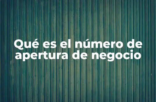 Qué es el Número de Apertura de Negocio