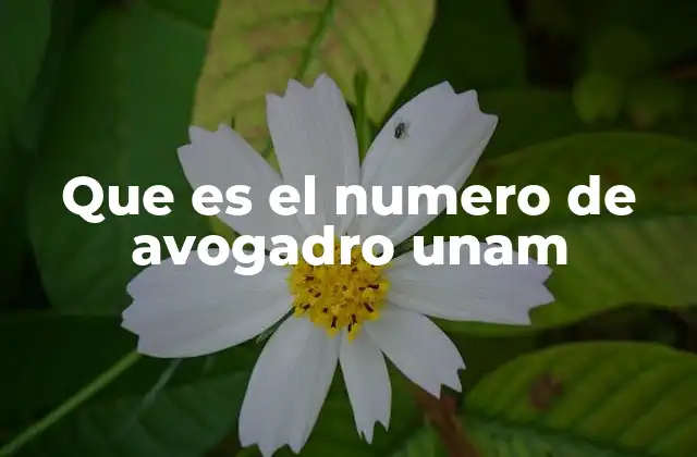 Que es el Numero de Avogadro Unam