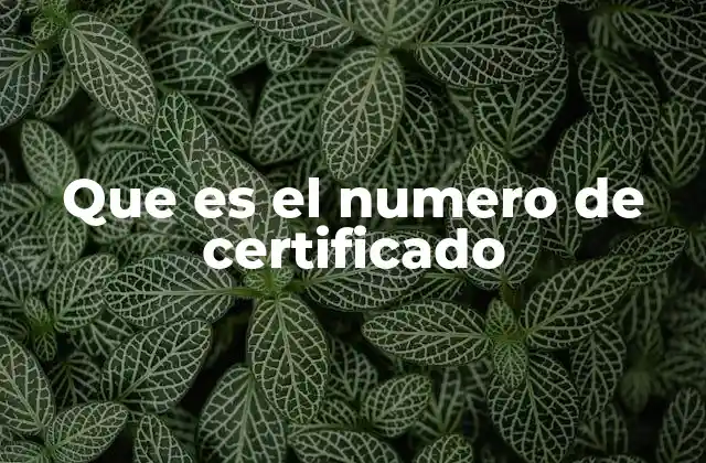 Que es el Numero de Certificado